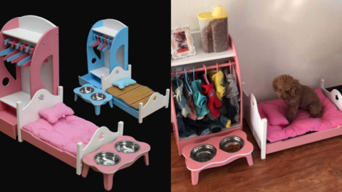 You Can Get A Dog Or Cat Bed That Has A Built-In Closet And Feeding Station!