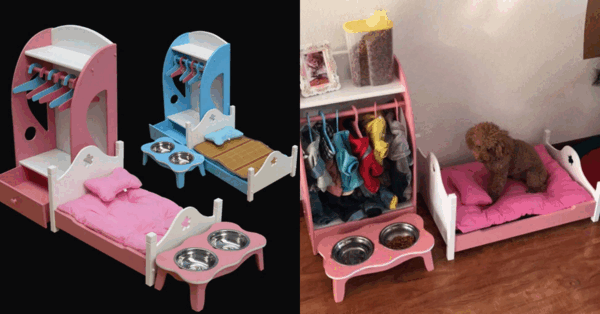 You Can Get A Dog Or Cat Bed That Has A Built-In Closet And Feeding Station!