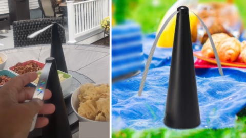 People Are Going Crazy For These Mini Fans That Keep Bugs Off Your Food