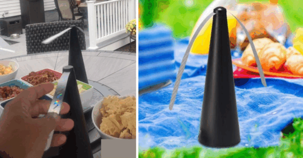 People Are Going Crazy For These Mini Fans That Keep Bugs Off Your Food