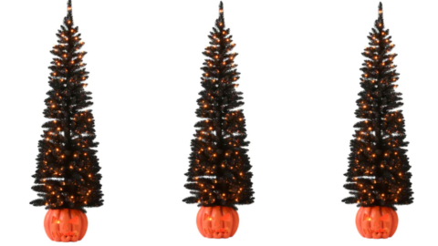 Michael’s Is Selling A Black Pencil Tree Complete With A Pumpkin Base Just In Time For Halloween