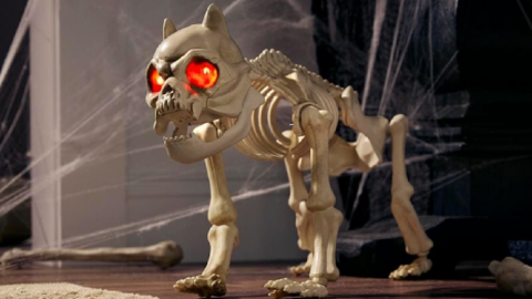 This Animated Skeleton Dog Is The Perfect Scary Accessory For Halloween