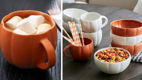 You Can Get Pumpkin Shaped Dinnerware To Bring Fall To The Table And I Want It All