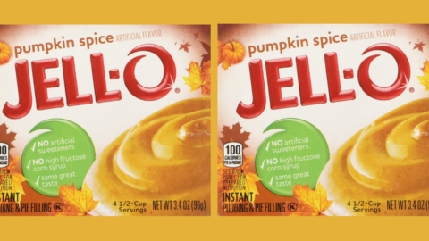 Pumpkin Spice Pudding Exists, Because Of Course It Does