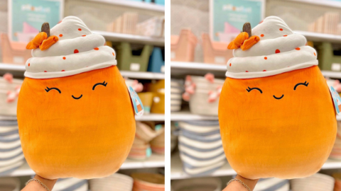 Target Is Selling A Limited Edition Pumpkin Spice Latte Squishmallow And I Need It