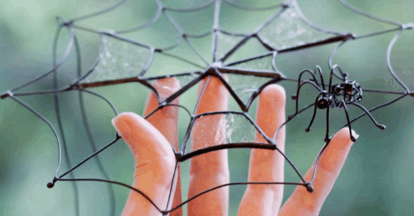 You Can Get A Wicked Cool Stained Glass Spider Web Suncatcher To Hang In Your Window