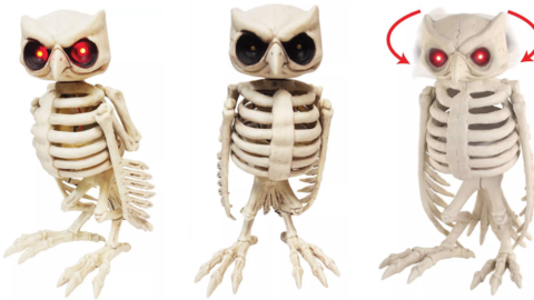 This Wicked Cool Animated Skeleton Owl Is The Perfect Addition To Your Haunted Collection
