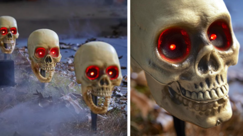 These Spooky Animated Skeleton Path Markers Are The Perfect Addition For Your Halloween Decorating