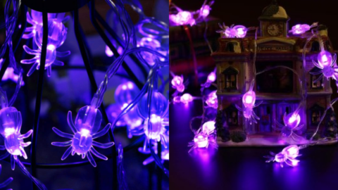 You Can Get Spider String Lights For Halloween And I Must Have Them