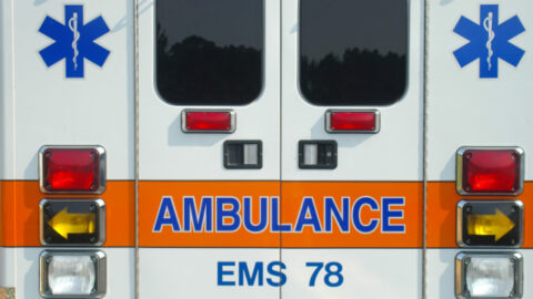 A Teen Was Bitten By Something In The Ocean But Nobody Knows What It Was