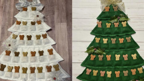 Get Your Dog An Advent Calendar So That You Can Count Down To Christmas With Your Best Friend