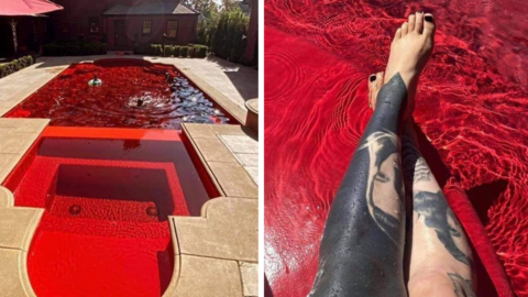 People Are Painting The Bottom of Their Pools Red To Turn Them Into ‘Dracula’s Tub’
