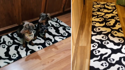 Everyone Is Obsessed With This Ghost Rug That Went Viral. Here’s Where You Can Get One.