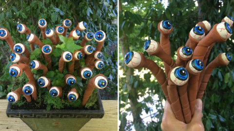These Eyeball Plants Are The Perfect Addition For Your Front Lawn During The Spooky Season