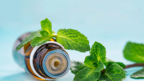 Discover 25 Awesome Benefits of Using and Diffusing Peppermint Essential Oil