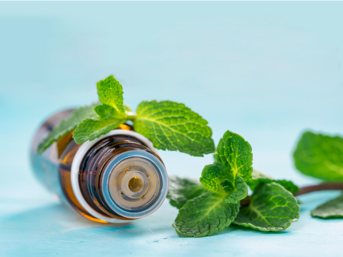 bottle of peppermint essential oil with peppermint leaves 