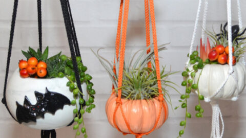 These Orange And White Hanging Pumpkin Planters Are The Cutest Way To Decorate For Halloween