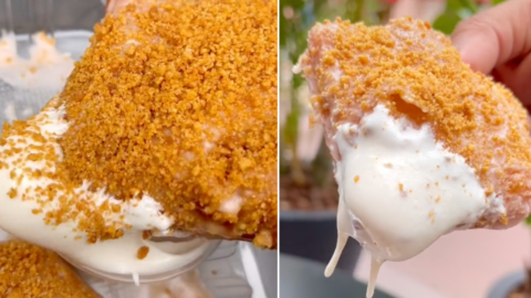Disney Just Released S’more Beignets With Marshmallow Sauce for Dipping