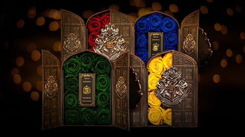You Can Get Hogwarts Roses For That Special Someone and Bring Pure Magic To Their Life