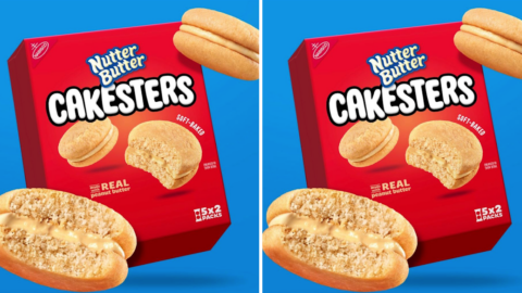Nutter Butter Cakesters Are Coming and My Life Is Now Complete