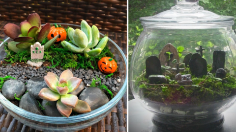 People Are Making Cemeterriums And They Are That Little Piece Of Spooky That Halloween Needs