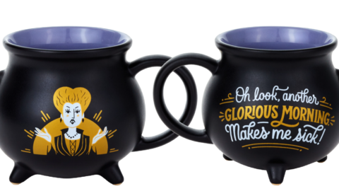This Hocus Pocus Cauldron Mug Is The Only Thing To Sip From On Another Glorious Morning!