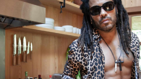 Lenny Kravitz Says He Wants To Be In ‘Magic Mike 3’ After Channing Tatum Drools Over His Abs