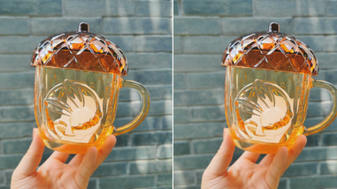 Starbucks Has A New Glass Mug That Is Shaped Like an Acorn To Celebrate Fall