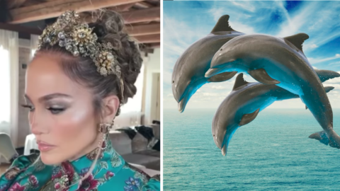 ‘Dolphin Skin’ Is The New Beauty Trend And Here Is How You Get It