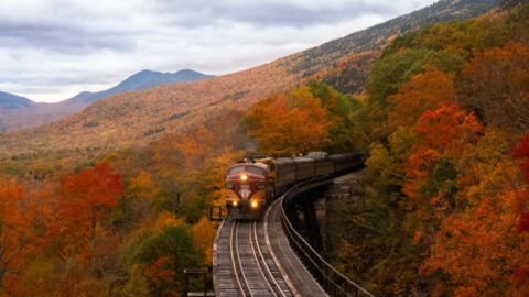 These Are the Best States to Visit for Fall Foliage