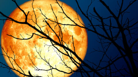 You’ll Be Able to See September’s Full Harvest Moon Next Week. Here’s How.
