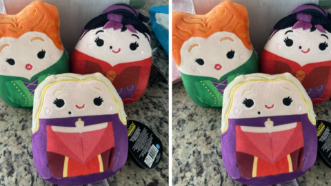 ‘Hocus Pocus’ Squishmallows Exist and They Are Glorious
