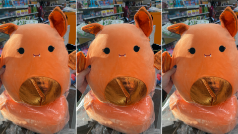 Walgreens Is Selling An Orange Bat Squishmallow For Halloween And It’s Adorable