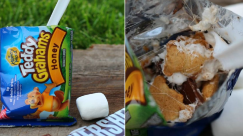 ‘S’mores in a Bag’ Is the Next Food Trend So You Can Eat S’mores On The Go