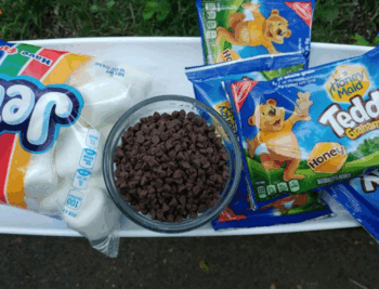 This image has an empty alt attribute; its file name is smores-in-a-bag-5-1-1.png