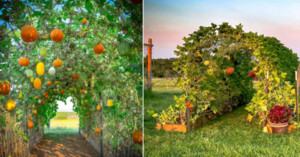 Vertical Gardens Are The New Garden Trend. Here’s Why You Should Try It.