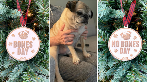 You Can Get A ‘Bones Day’ Ornament To Flip Each Day Depending On Noodle’s Prediction
