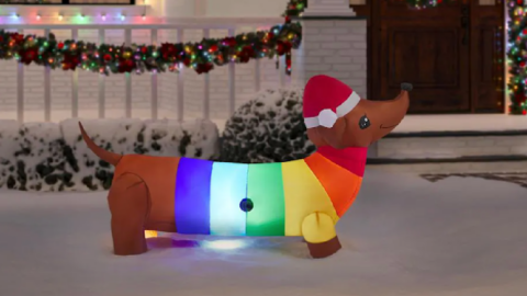 Home Depot Is Selling An Inflatable Rainbow Dachshund You Can Put In Your Yard For The Holidays