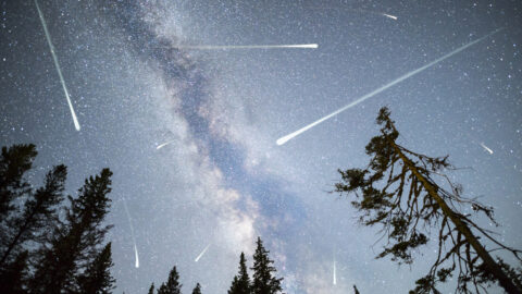 There Will Be 3 Meteor Showers in November. Here’s How You Can Watch Them.