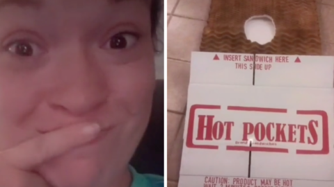 This Mom Made A Hot Pockets Costume For Her Son When He ‘Refused’ To Be Anything Else