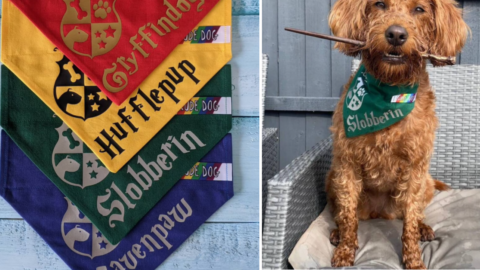 You Can Get A Harry Potter Bandana For Your Pet So They Can Be Sorted Into Their Hogwarts House