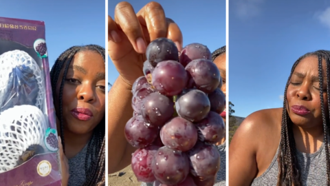 $80 Grapes Exist and I’m Pretty Sure It’s The Most Bougie Thing In Existence