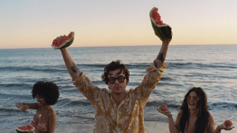 Harry Styles Just Confirmed What The Song ‘Watermelon Sugar’ Is About and We Totally Knew It