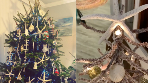 Here’s How You Can Dress Your Christmas Tree If You Live Where It’s Warm During the Holidays