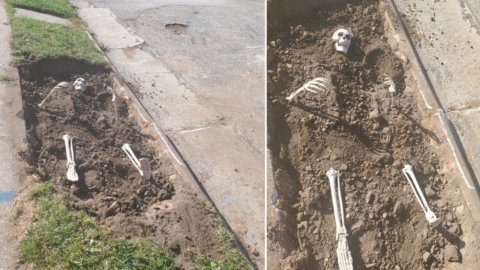 People Are Burying Fake Skeletons in The Ground To Decorate For Halloween