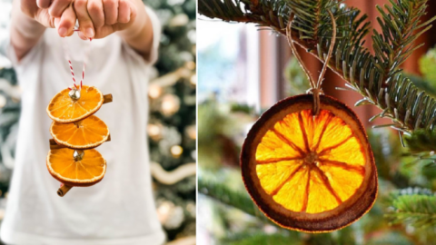 People Are Drying Out Orange Slices to Hang Around Their Home for the Holidays. Here’s How to Do It.