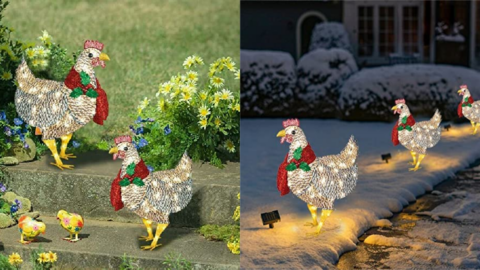 You Can Get Light Up Christmas Chickens To Decorate Your Yard For The Holidays