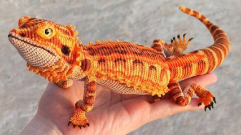 You Can Crochet A Realistic Bearded Dragon And I Must Have One!