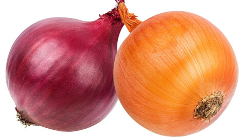 There is A Massive Onion Recall And The CDC Says You Should Throw Your Onions Away