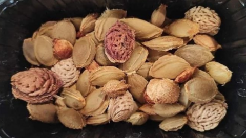 People Are Throwing Seeds From Fruit Out Their Windows While Driving and The Idea Is Actually Brilliant